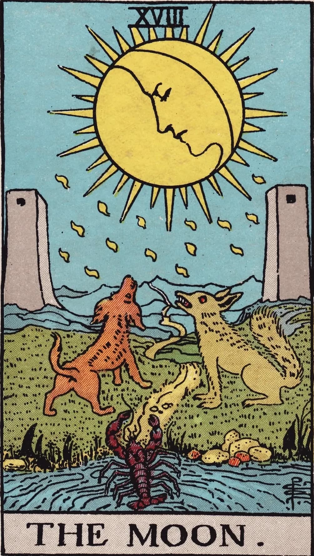 The Moon Card