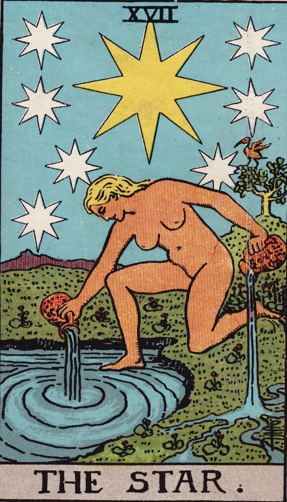 The Star Card