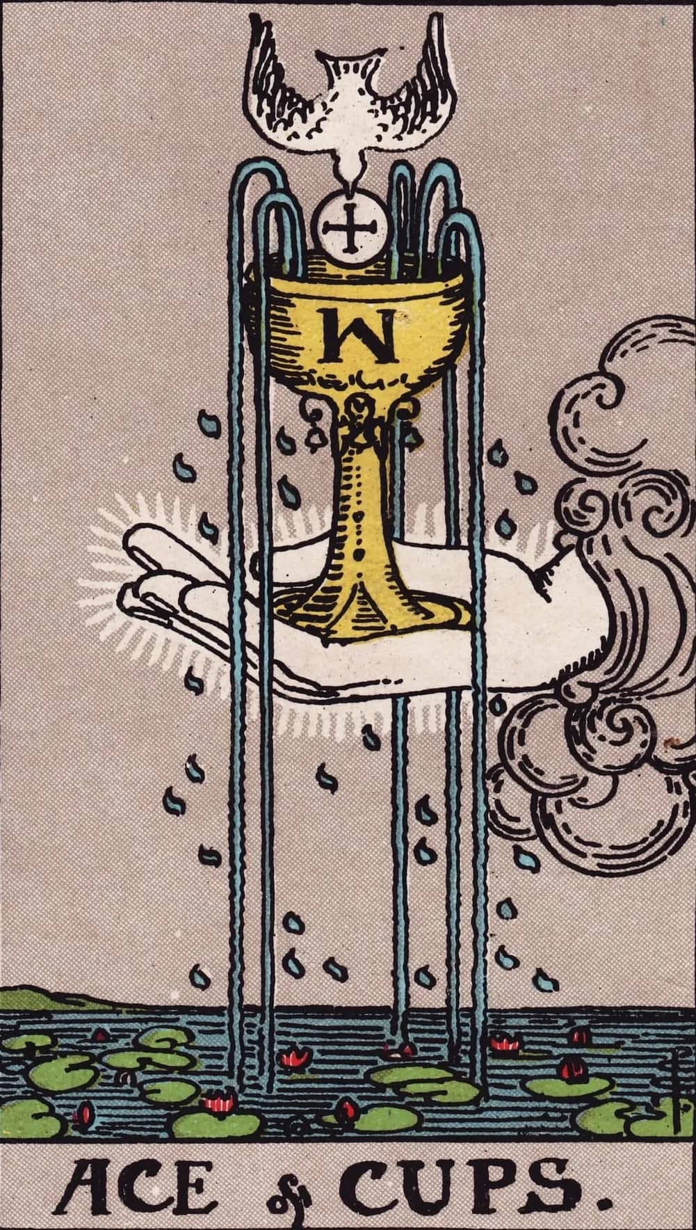 Read about Suit of Cups Meaning & Symbolism