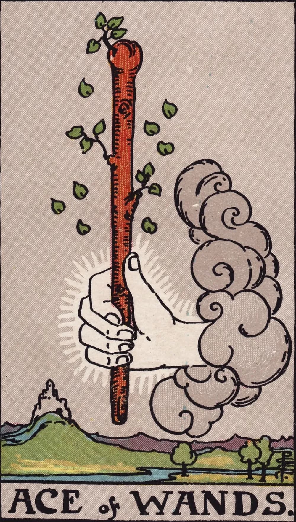 Read about Suit of Cups Meaning & Symbolism